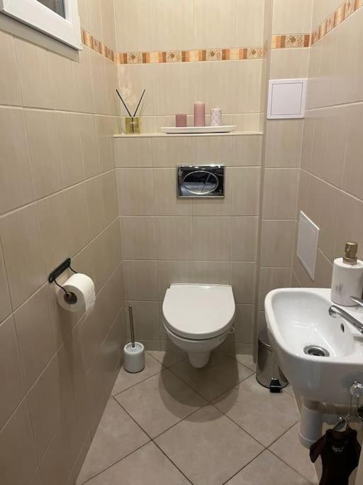 Appartamento Byt 3+1 S Dvemi Kuchynmi Praga